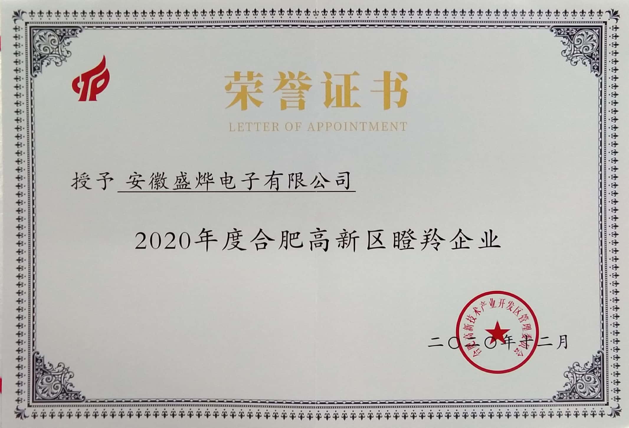 瞪羚企业